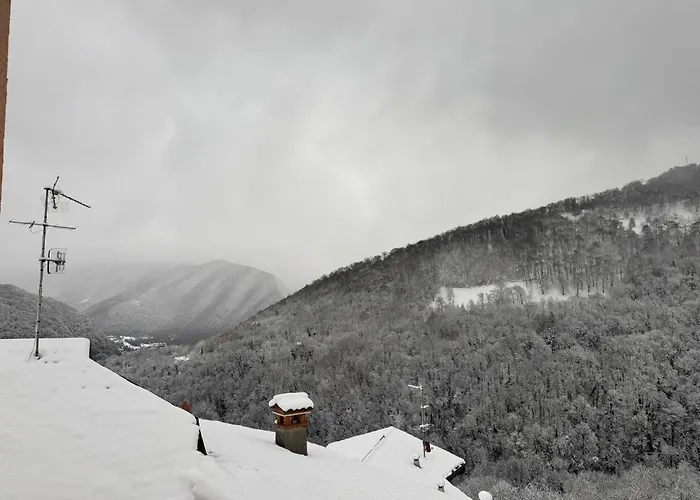 Da Antonella Fontana 公寓