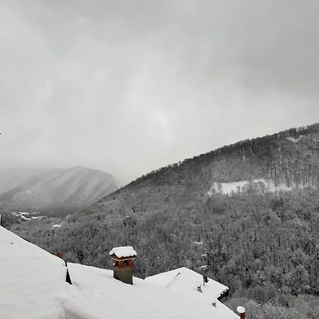 Da Antonella Fontana Appartamento